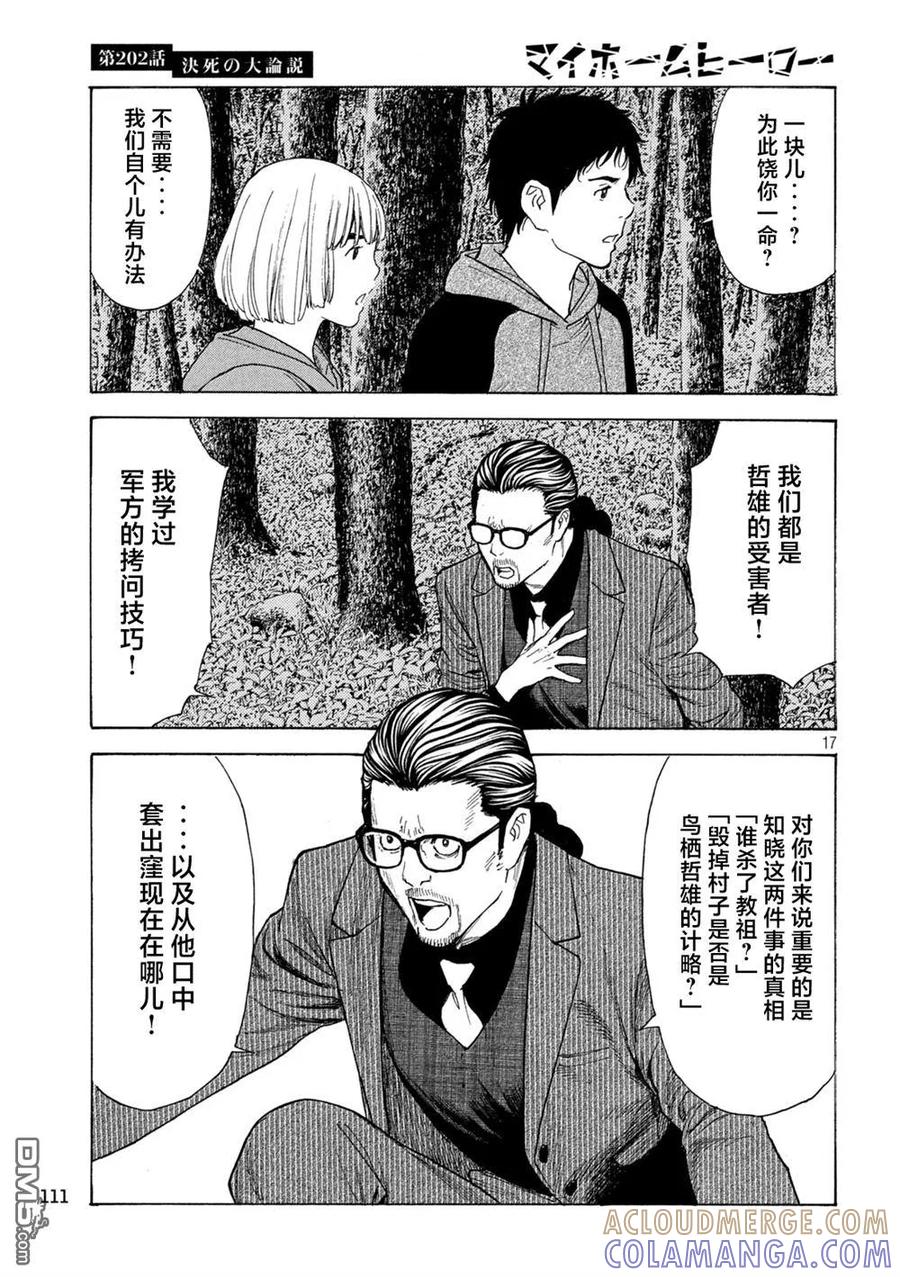 第17页