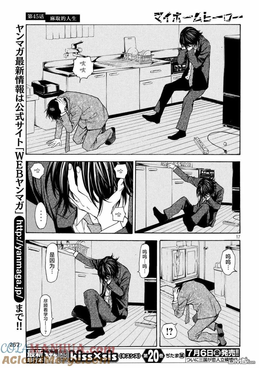 第17页