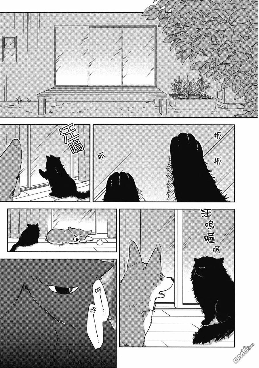 第54页