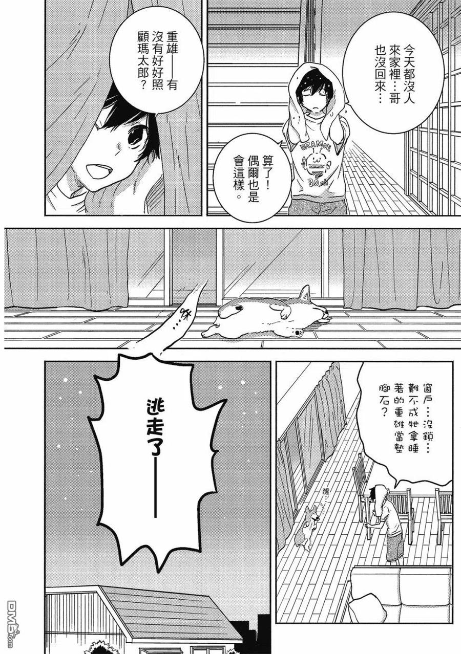 第55页