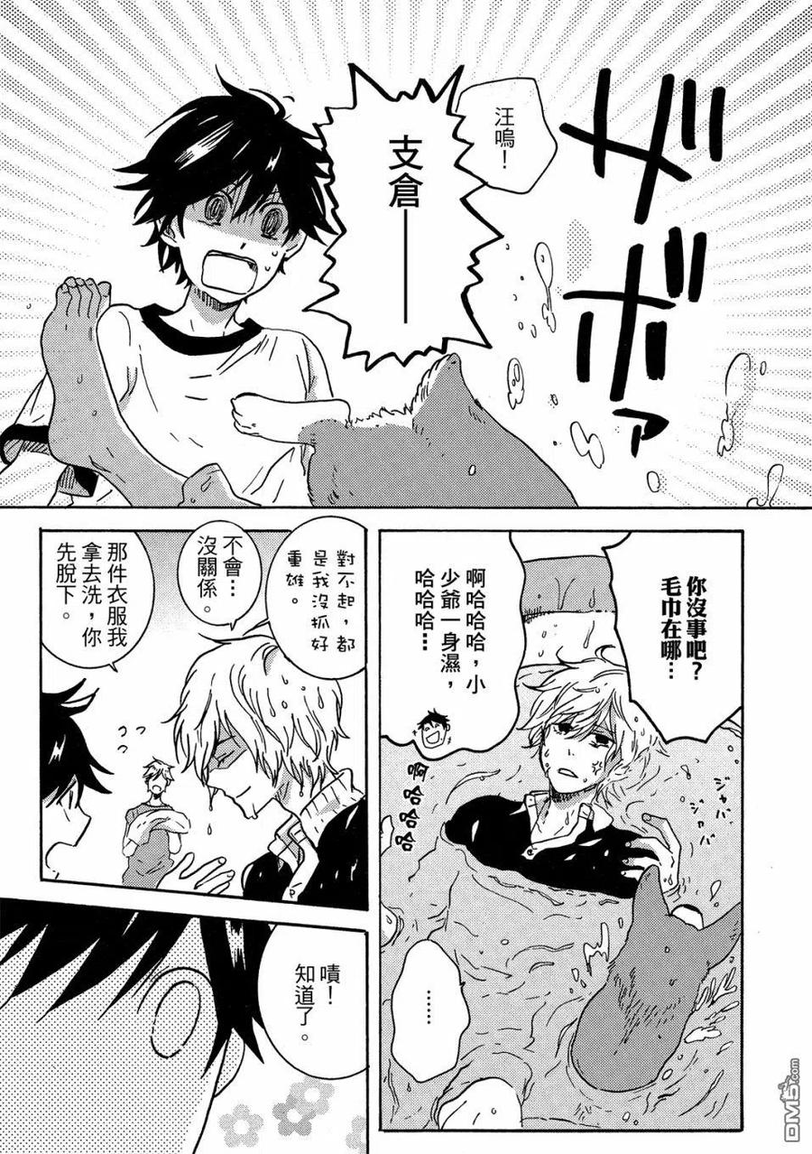 第50页