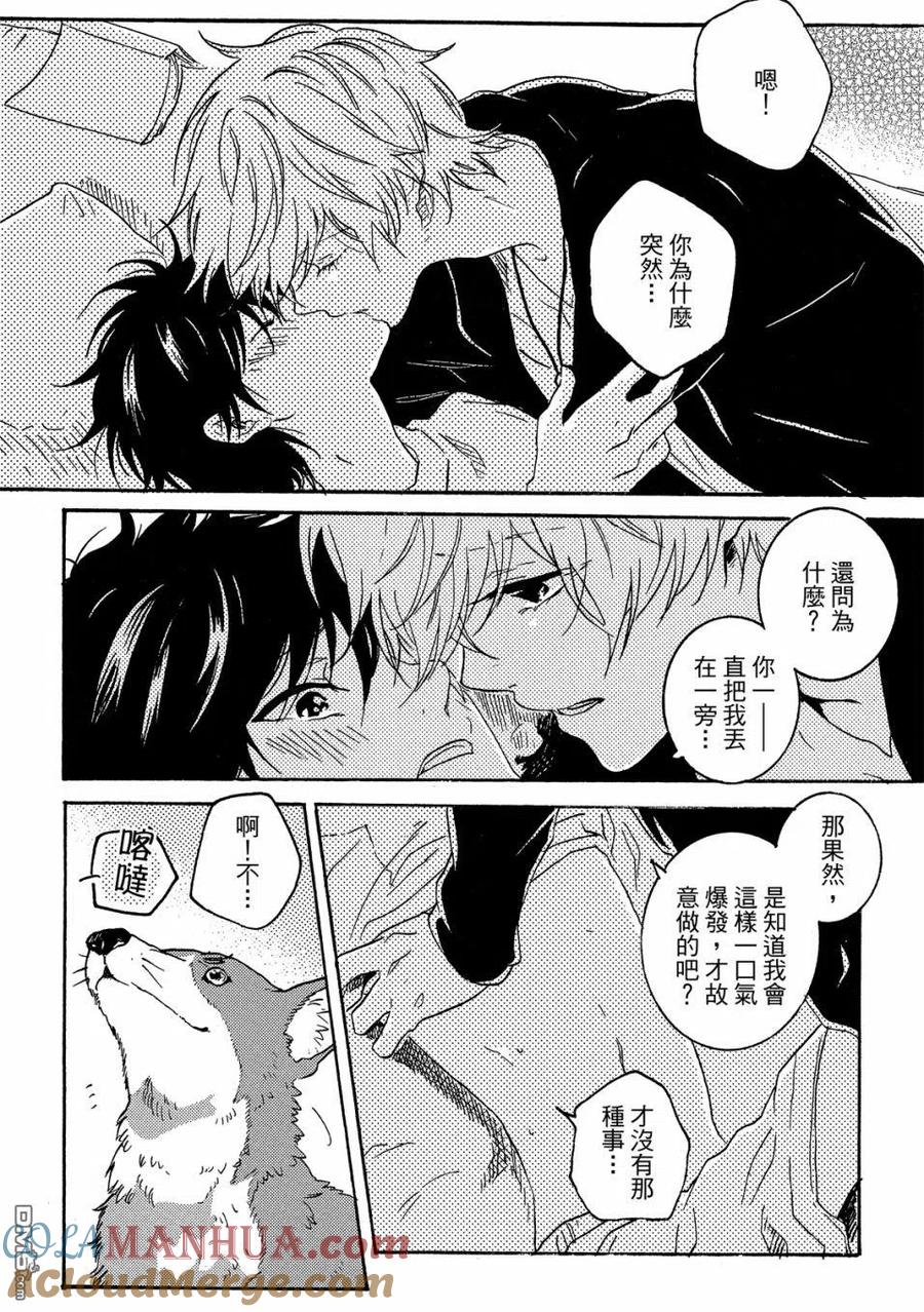 第81页
