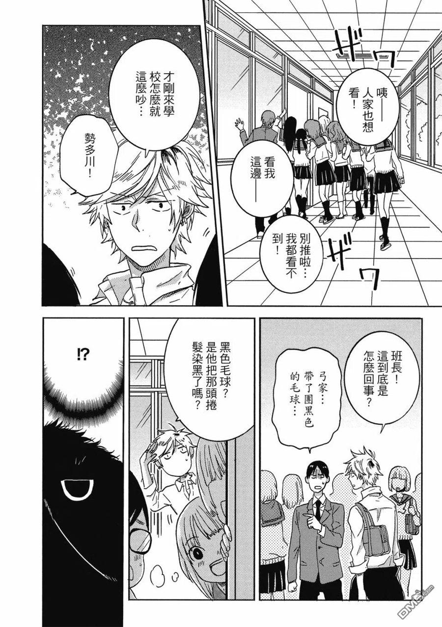 第51页