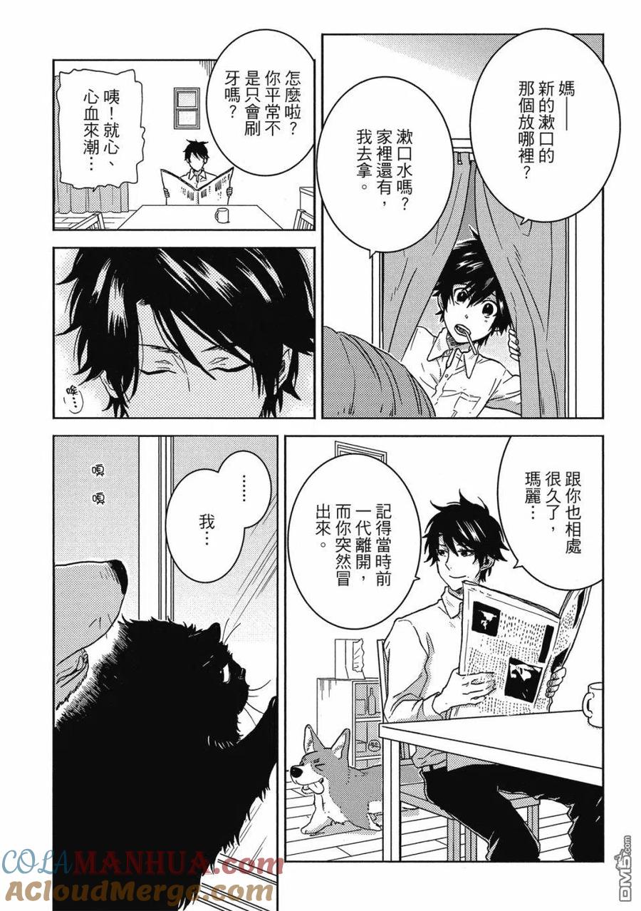 第97页