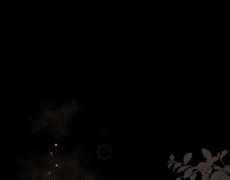 第215页