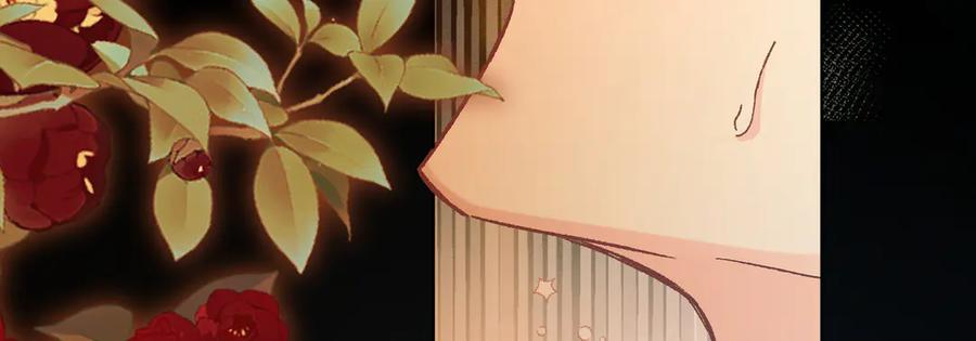 第218页