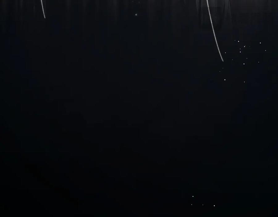 第231页