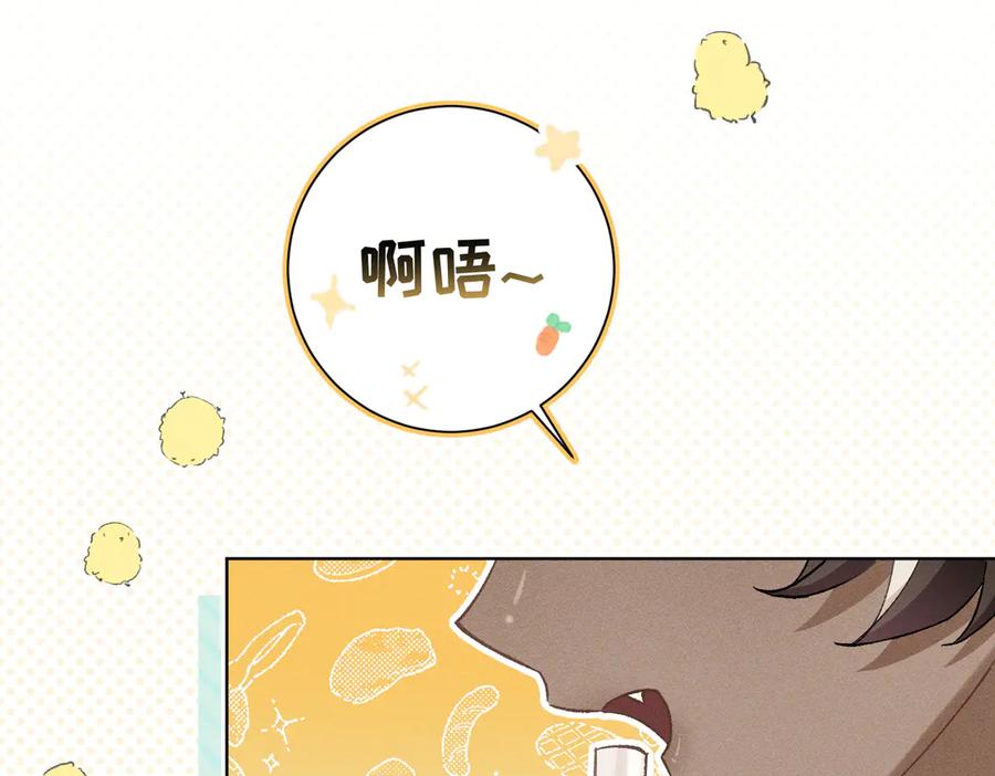 第204页
