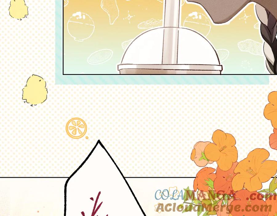 第205页