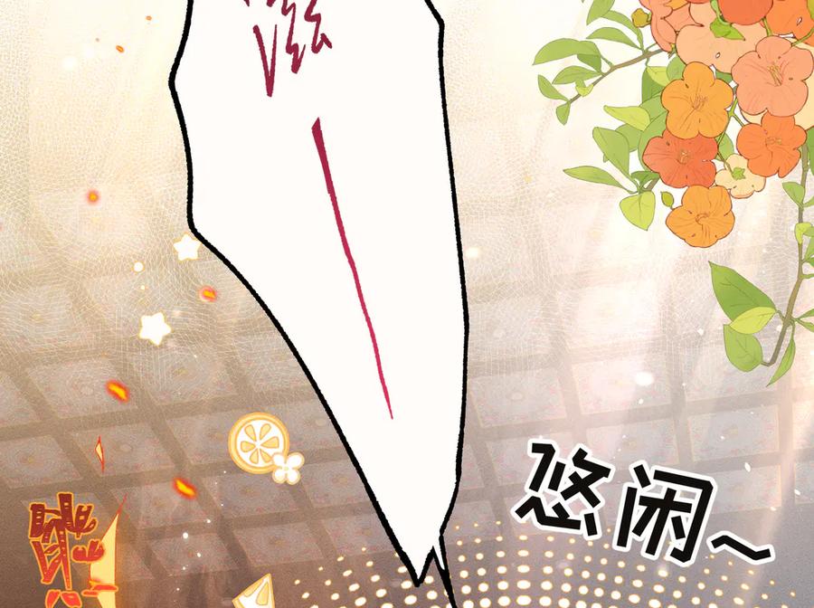 第206页