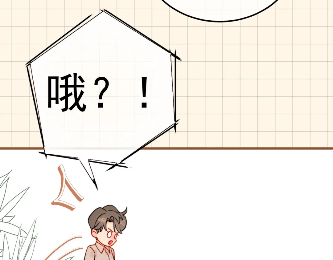 第221页