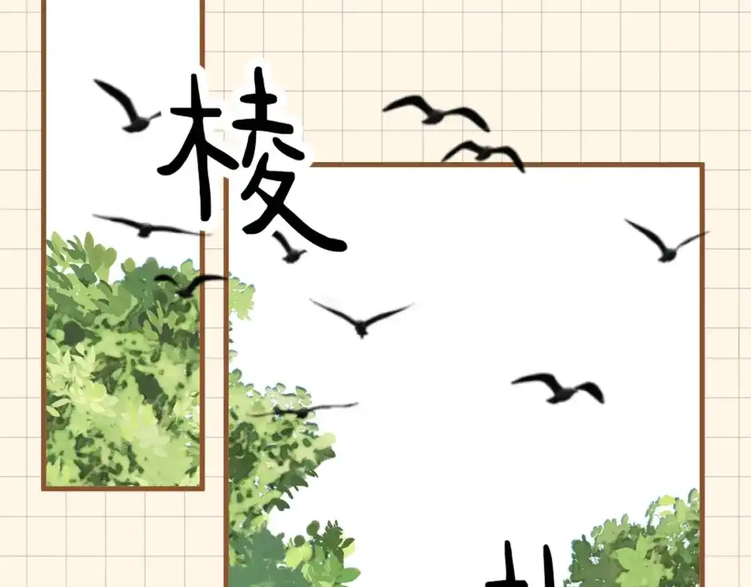 第227页