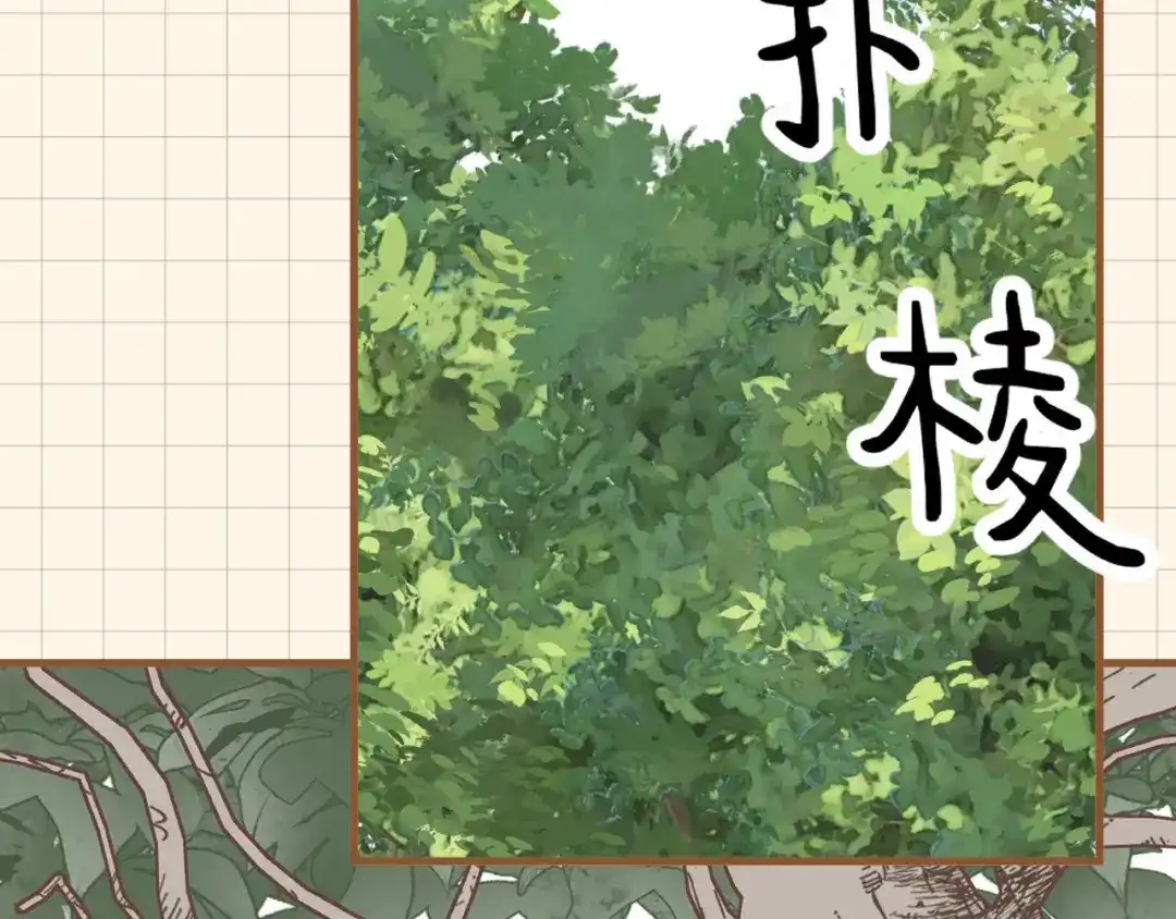 第228页