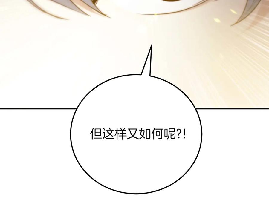 第244页