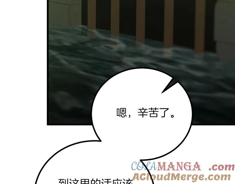 第241页