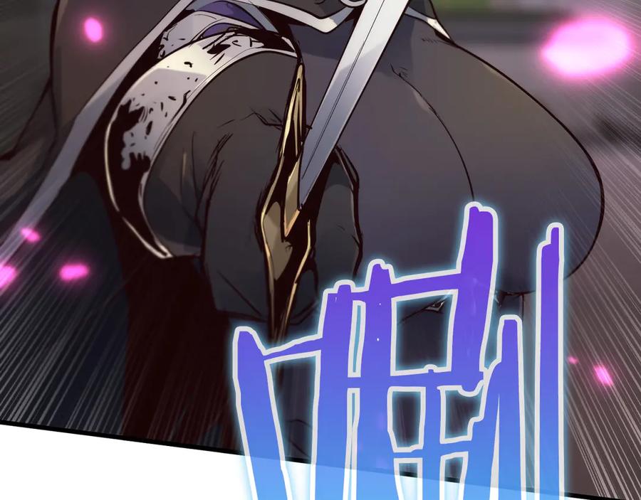 第224页