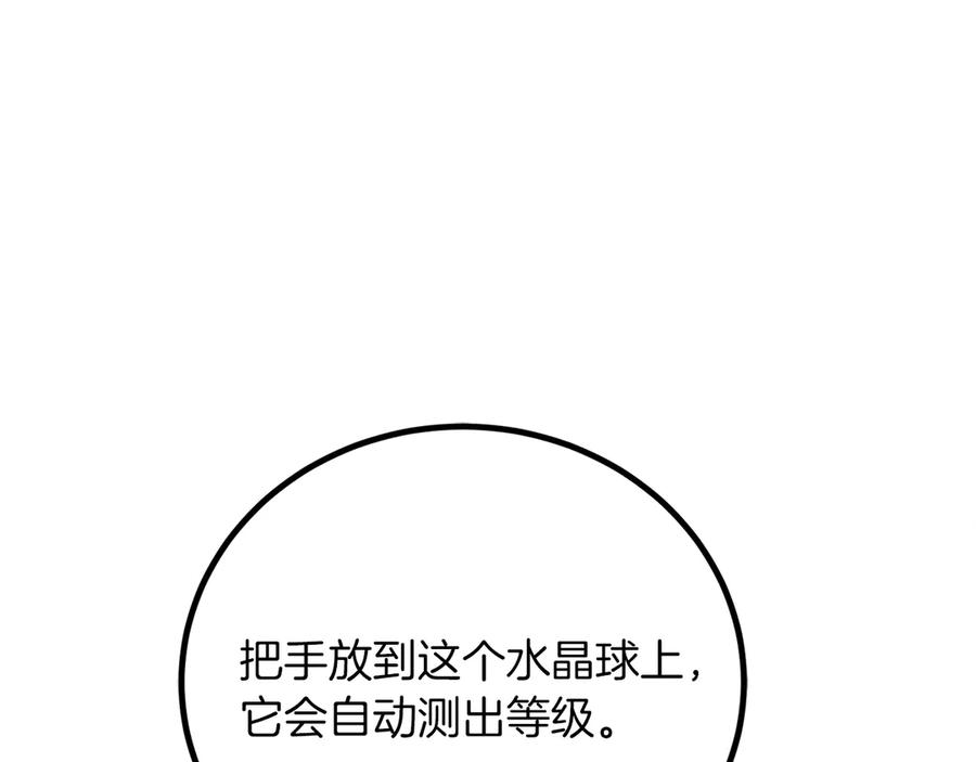 第244页