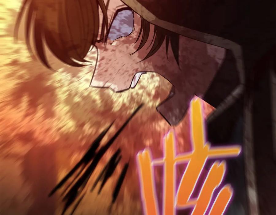 第251页
