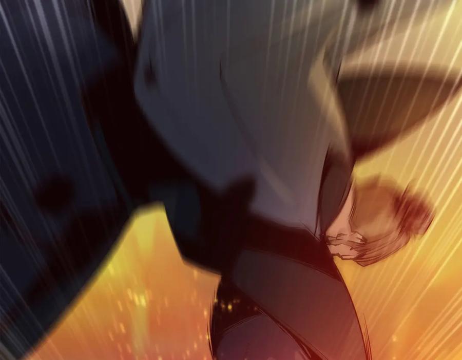 第236页