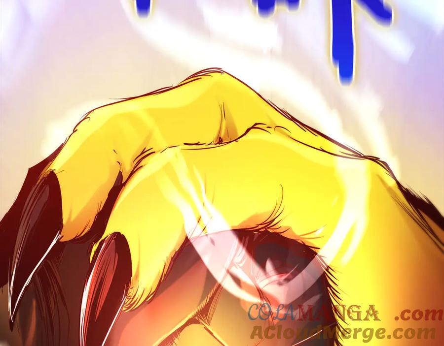 第245页