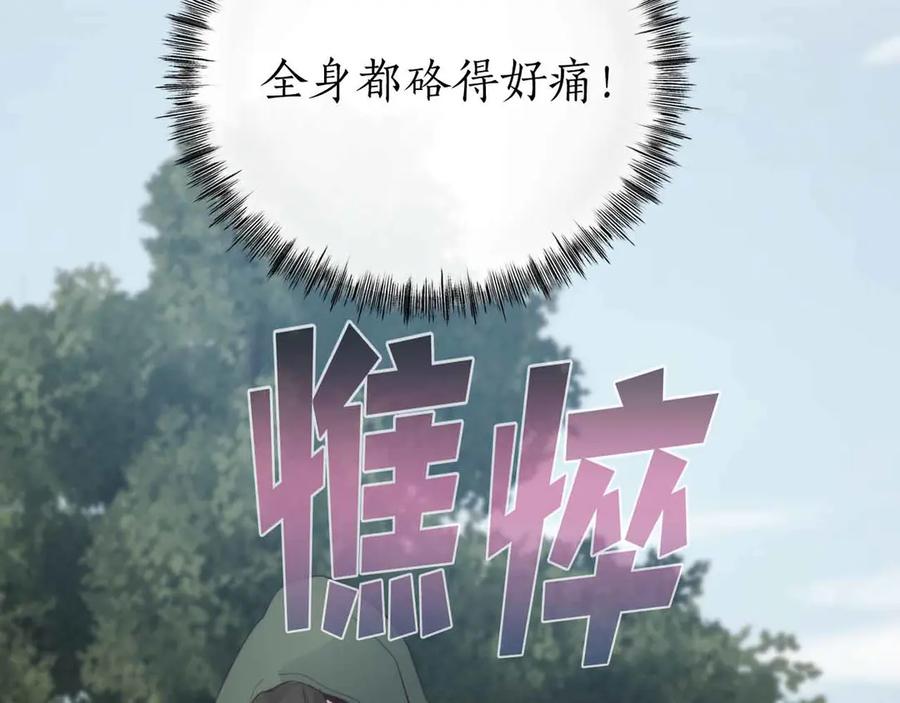 第206页