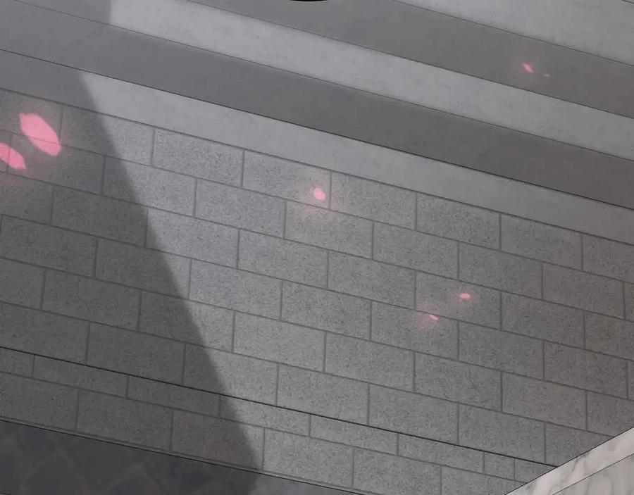 第208页