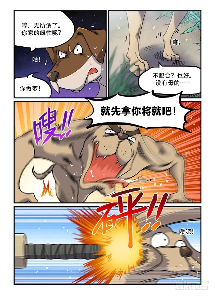 第3页