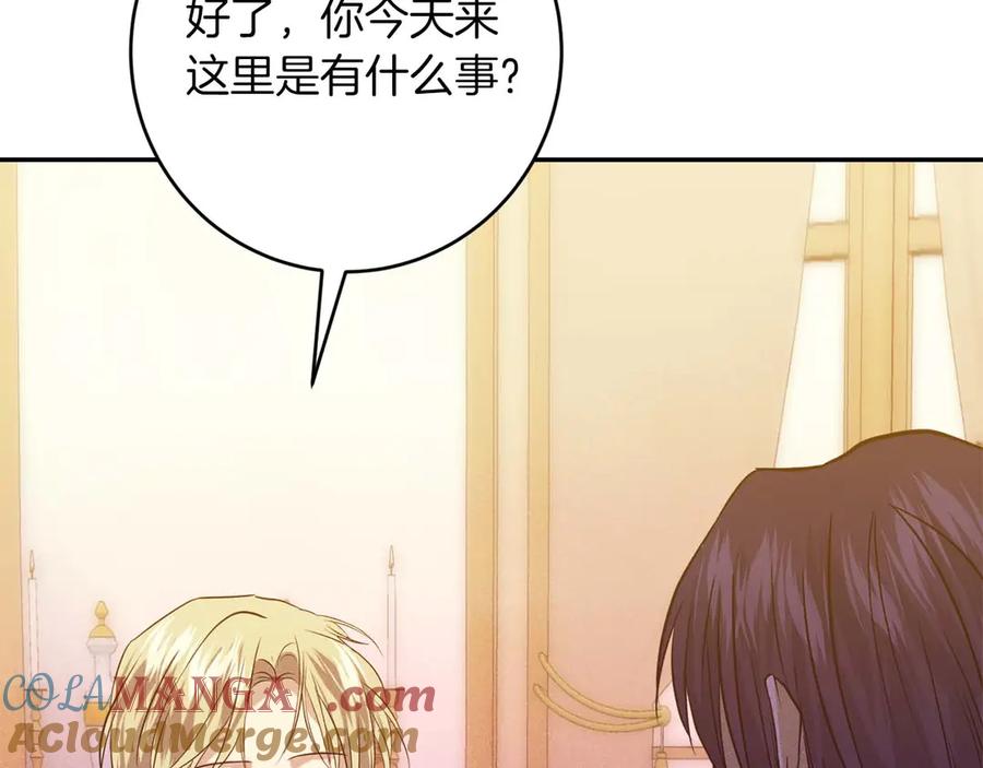 第221页