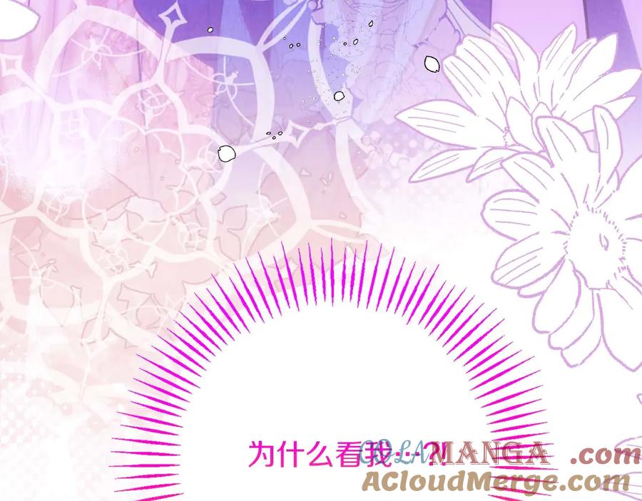 第233页