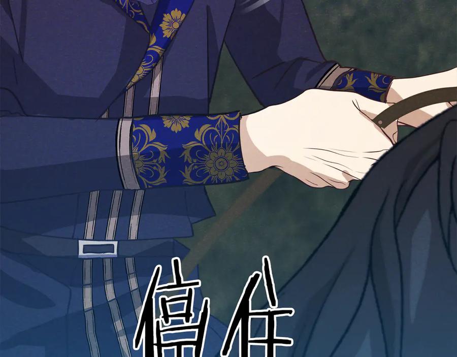 第244页