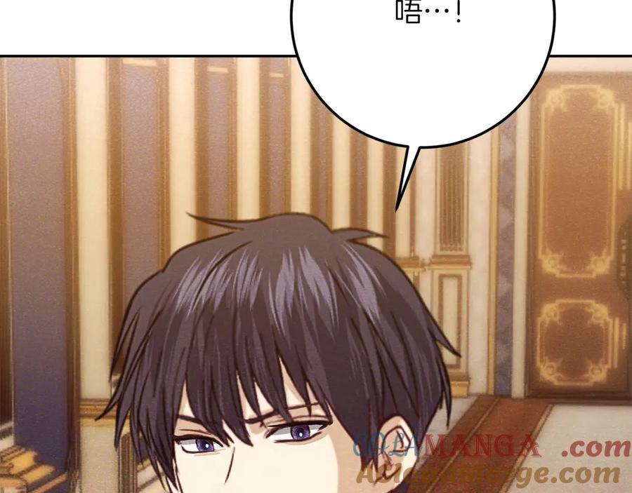 第217页