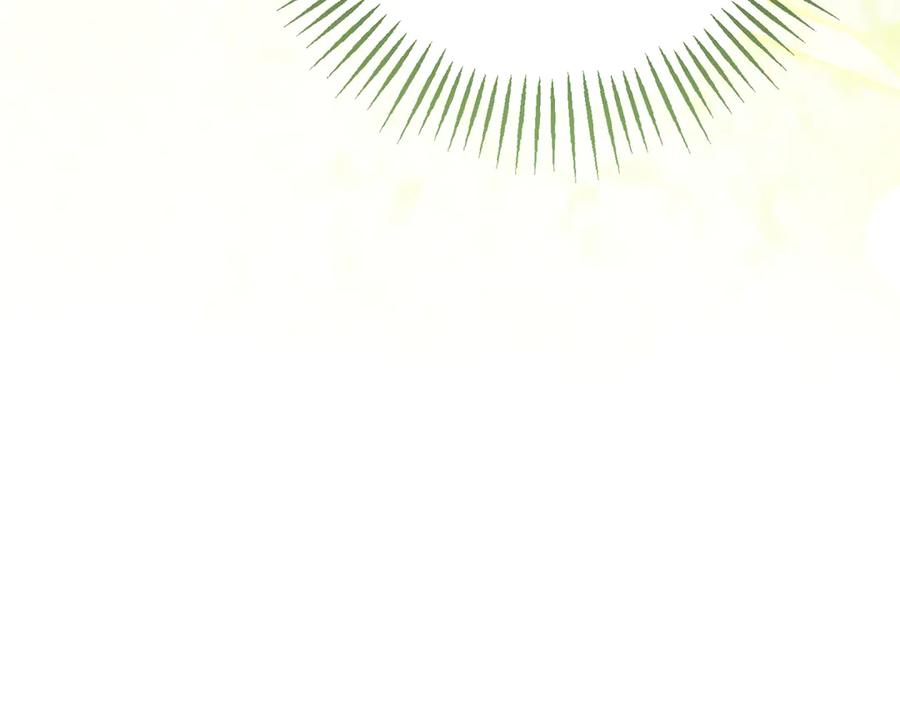 第224页
