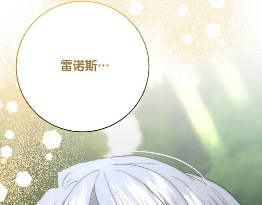 第215页