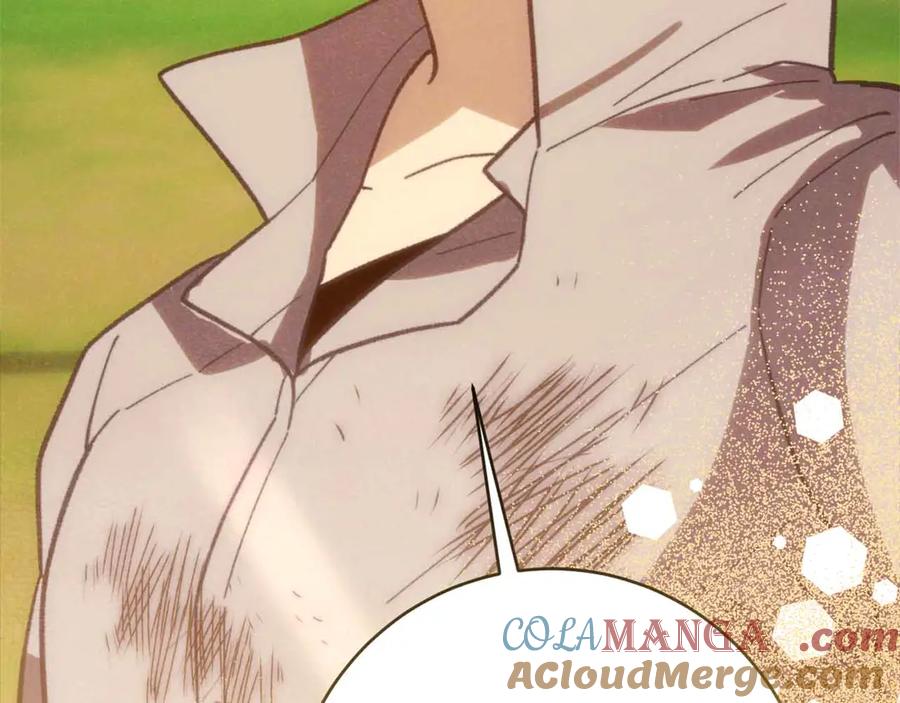 第217页