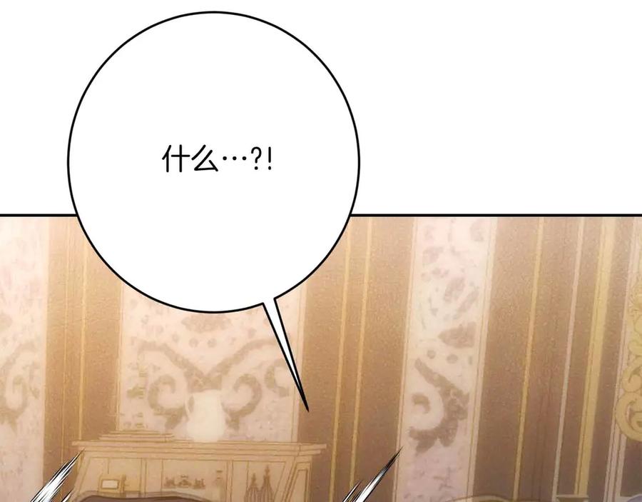 第238页