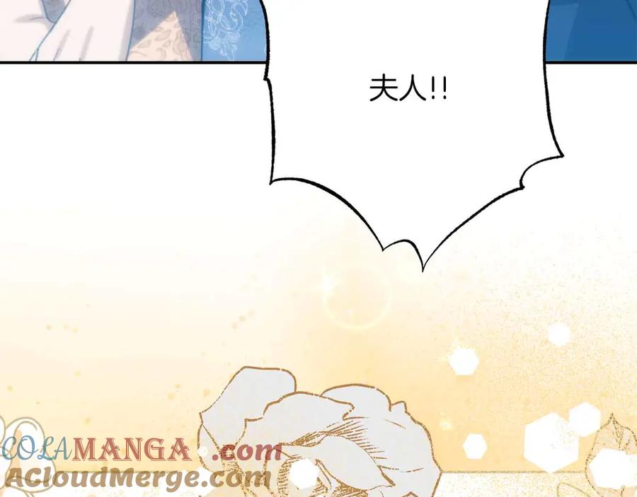 第241页
