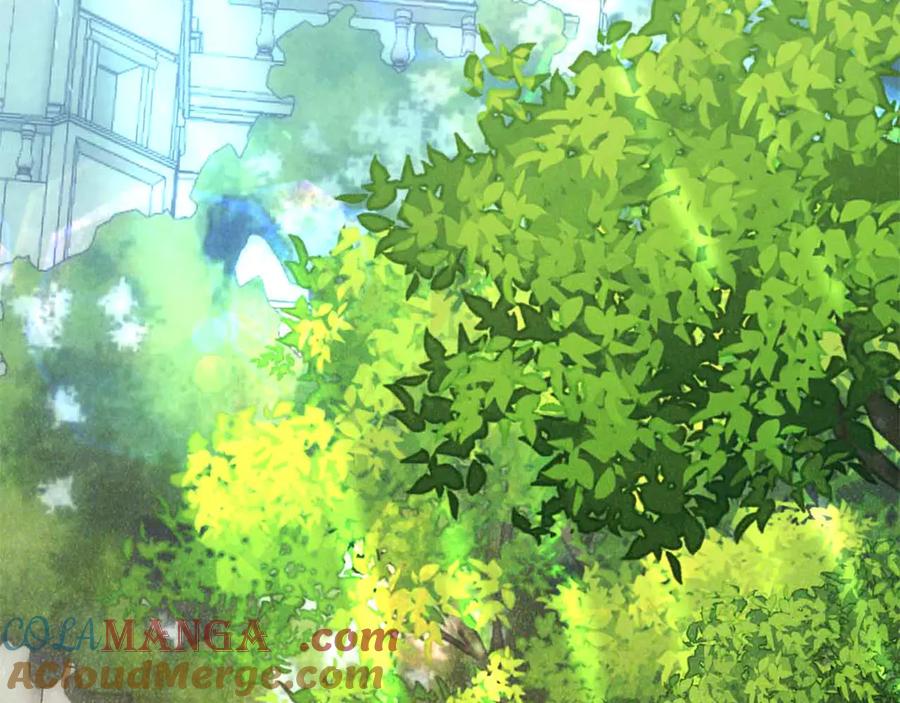 第185页