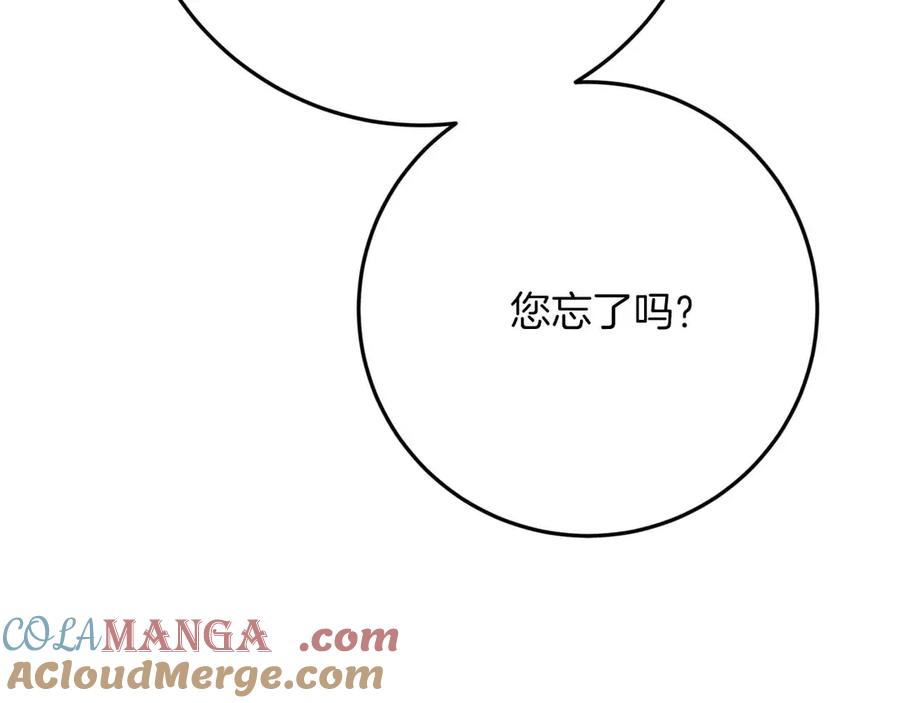第241页