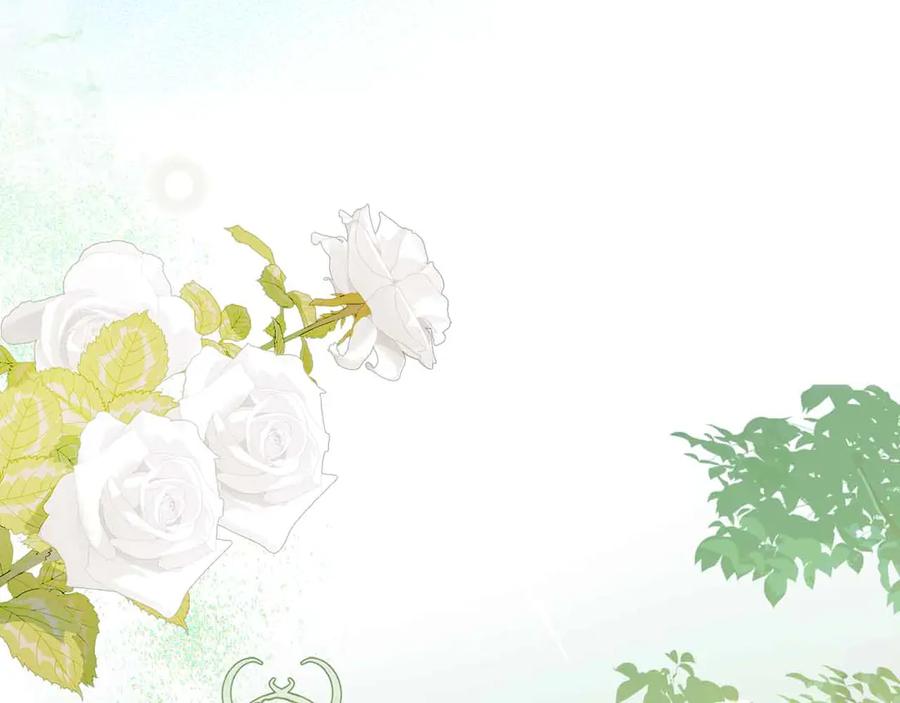 第223页