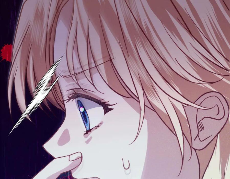 第244页