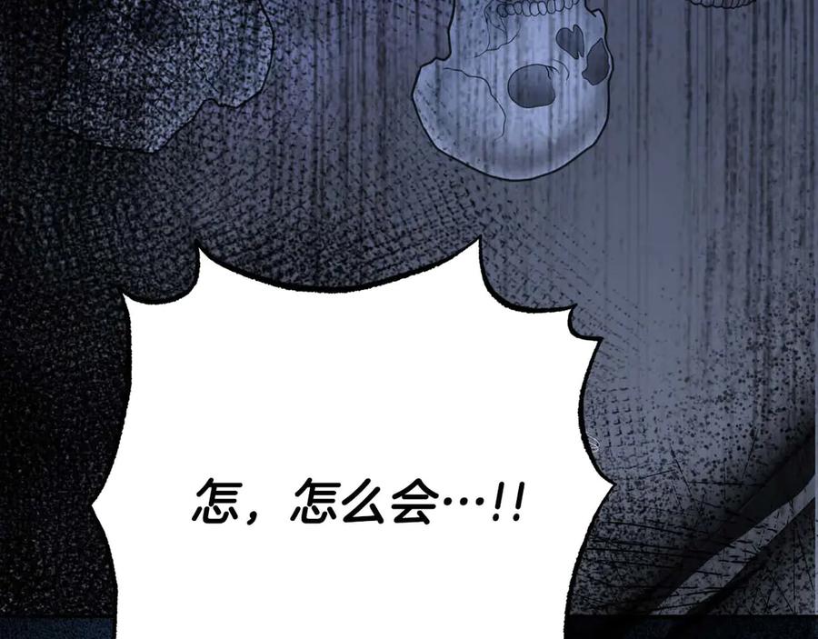 第224页