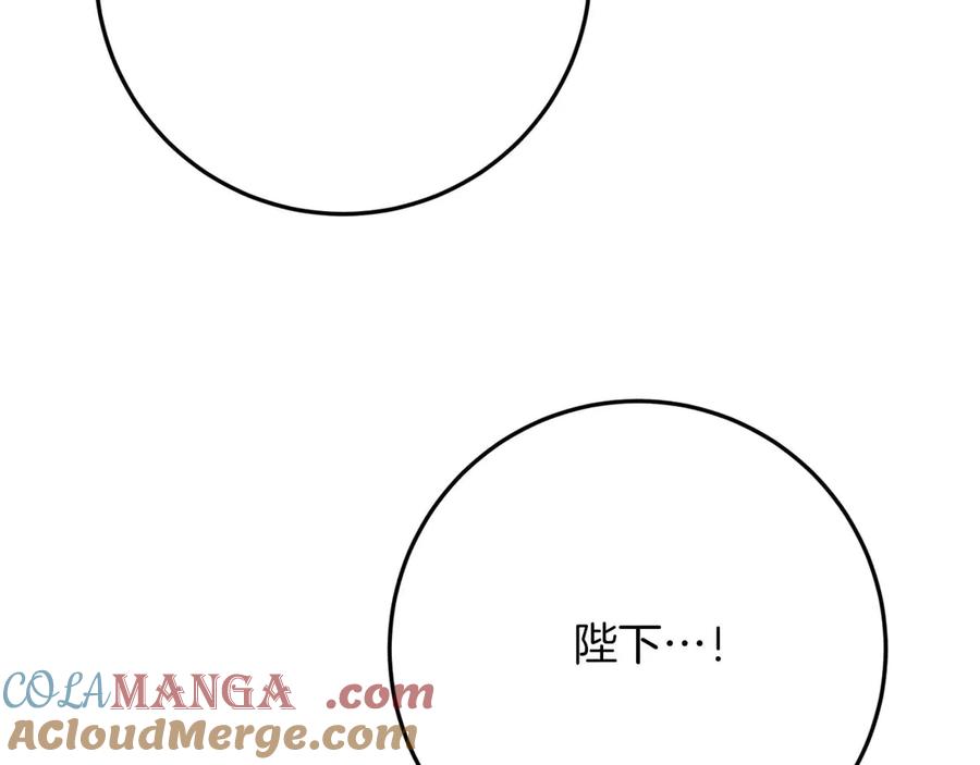 第241页
