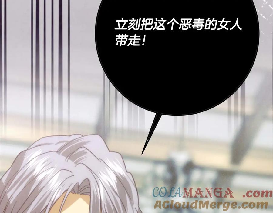 第245页