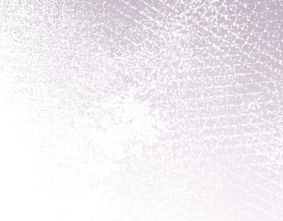 第251页