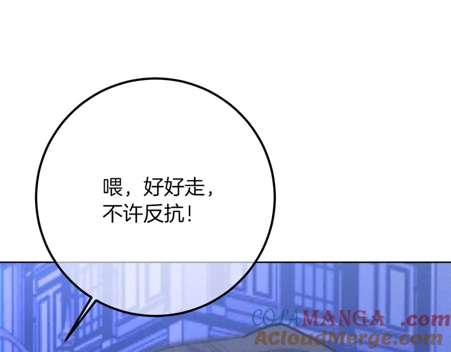 第217页