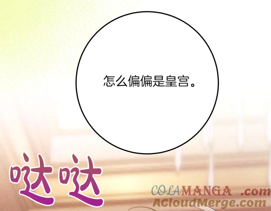 第205页