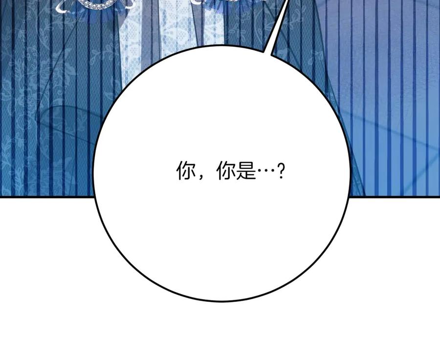 第223页