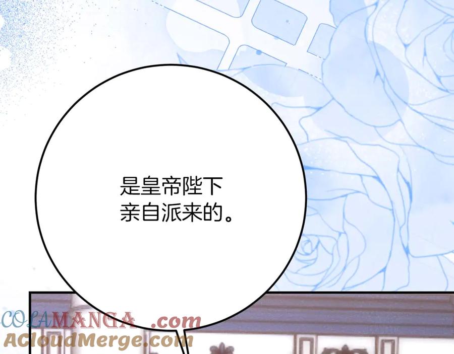 第241页