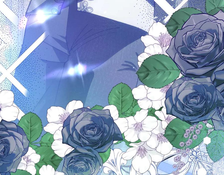 第243页