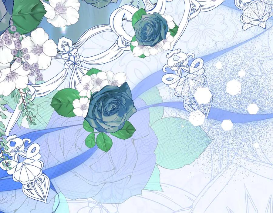 第244页